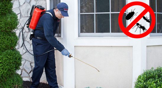 Çaybaşı Haşere İlaçlama böcek ilaçlama ve haşere kontrolü — ilaclama-tr.com